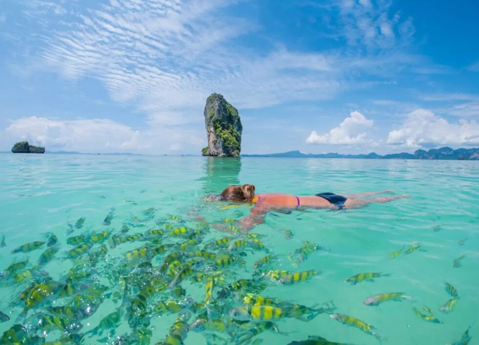 The Best Places to Experience Phuket’s Marine Life